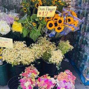 Meet your Posher, Ana